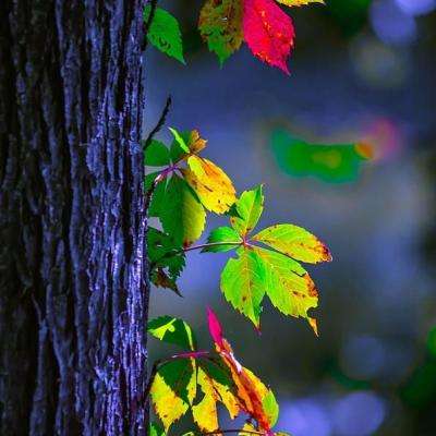 AG官方平台下载地址app下载截图